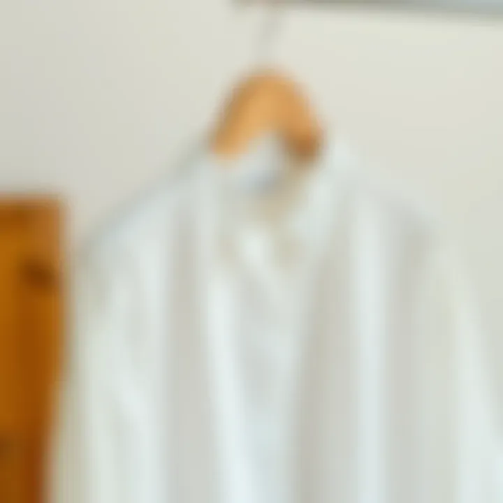 Classic White Blouse Elegance Elegant display of a classic white blouse on a wooden hanger, showcasing its fabric texture.