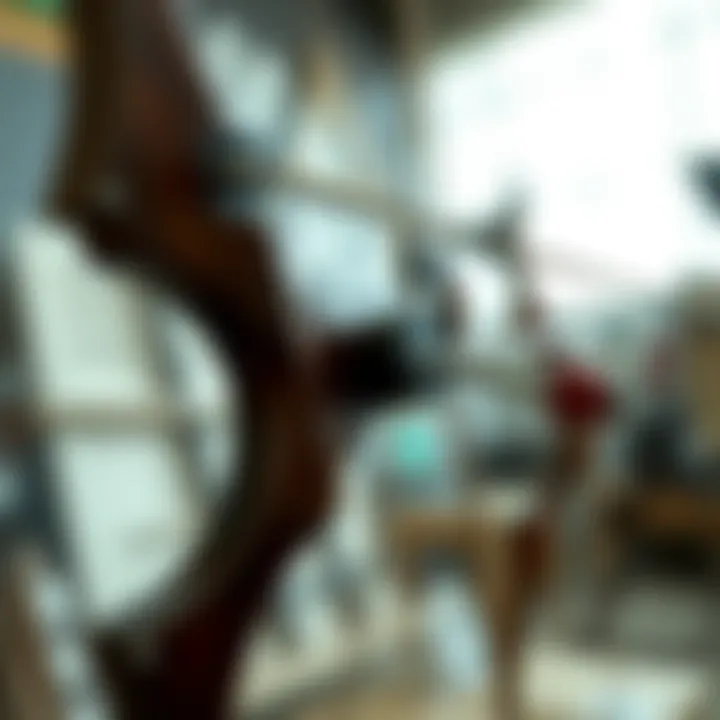 Innovative Bow Designs and Techniques A meticulous arrangement of bow designs illustrating different styles and techniques