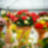 Elegant wicker flower stand showcasing vibrant blooms