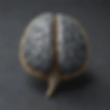 Intricate Design of the Brain Lapel Pin A close-up view of a creatively designed brain lapel pin showcasing intricate details.