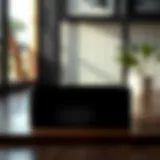 Elegant black shoe container showcasing modern design