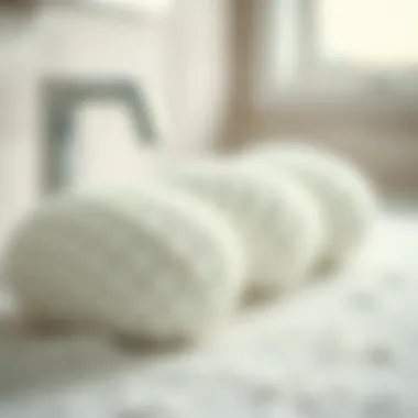 Eco-Friendly Materials in Body Scrubbers Eco-friendly materials used in body scrubbers