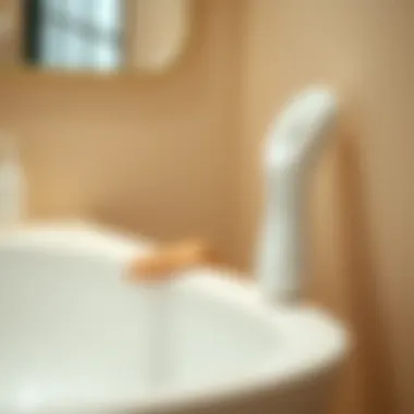 Innovative Ergonomic Body Scrubber Design Ergonomic body scrubber showcasing innovative design