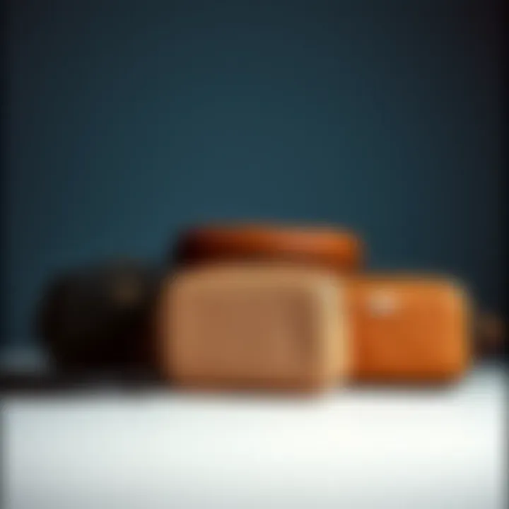 Different styles of mini bag organizers catering to diverse lifestyles