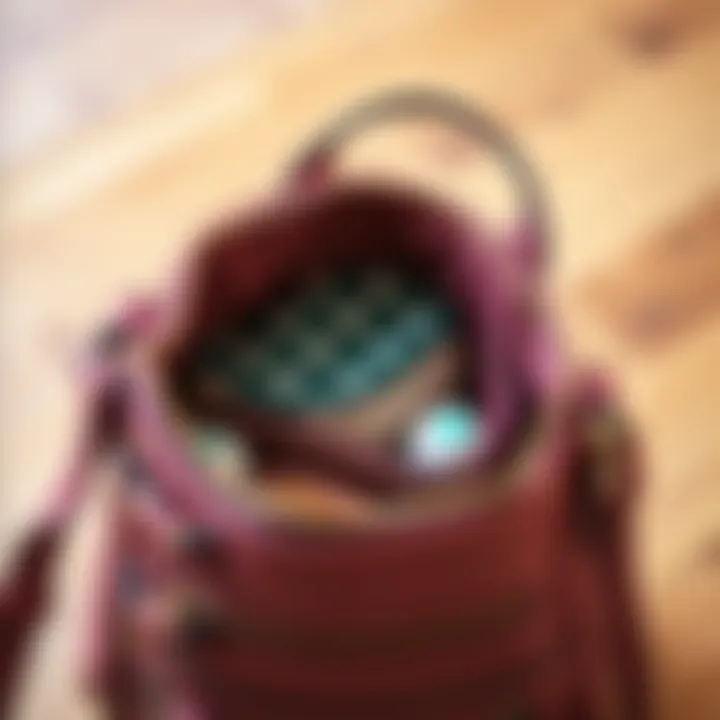 Mini bag organizer inside a stylish handbag demonstrating organization