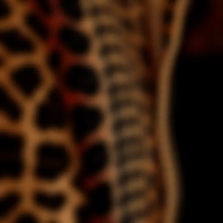 Close-up of the intricate fabric texture of a leopard cardigan
