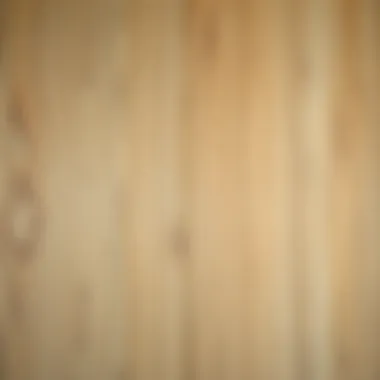 Close-up texture of oak peel and stick wallpaper