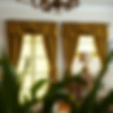 Diverse Designs with Olive Green Valance Diverse design styles featuring olive green valance curtains