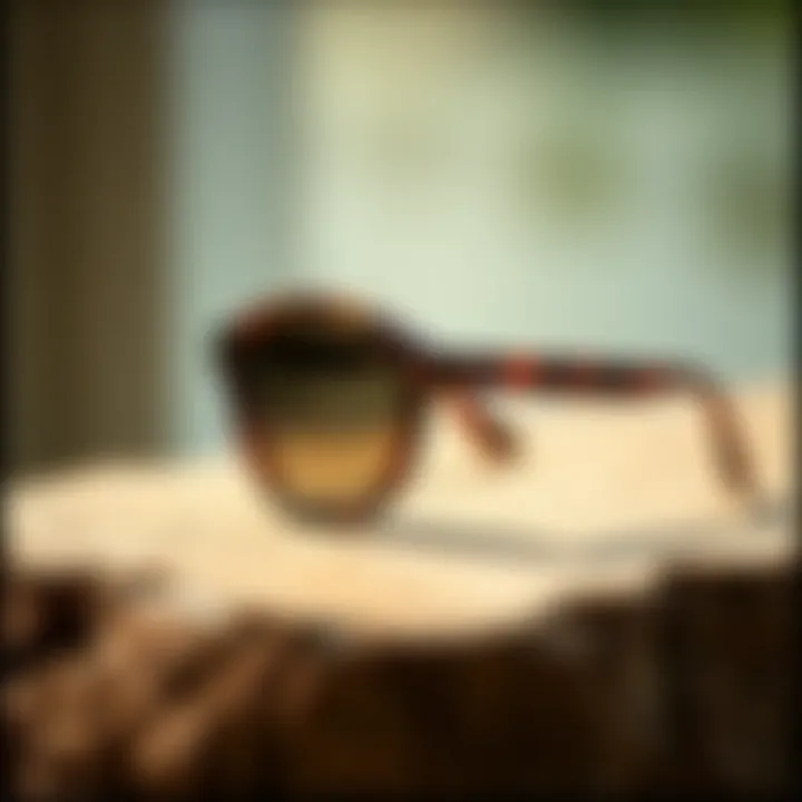 Notable Tortoiseshell Sunglasses for Women: A Comprehensive Exploration