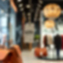 Elegant display of fashion items showcasing misleading price tags